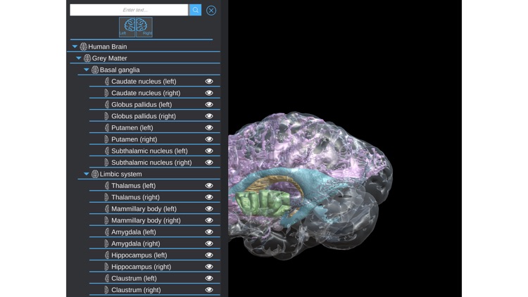 GreyMapp: Brain screenshot-3