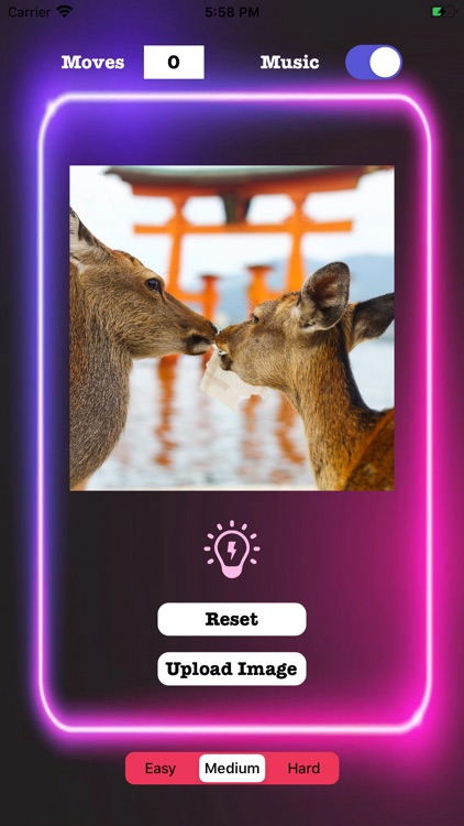 Puzzle World Pro