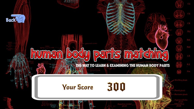 Human Body Parts Matching screenshot-3
