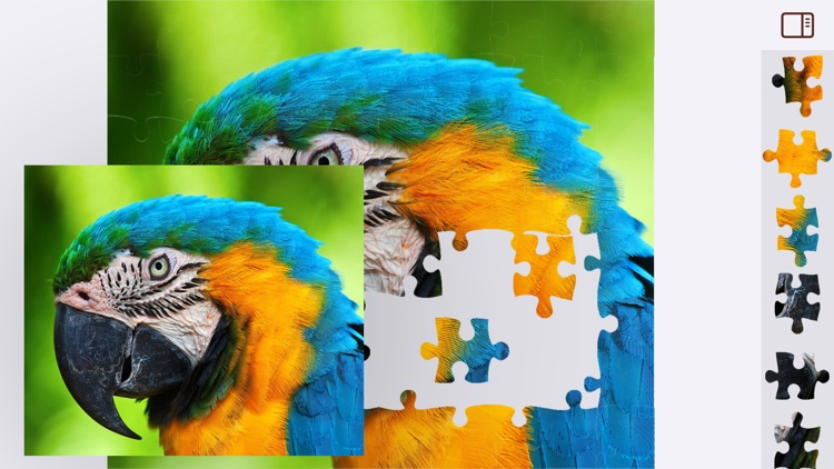 Jigsaw Puzzles Animals