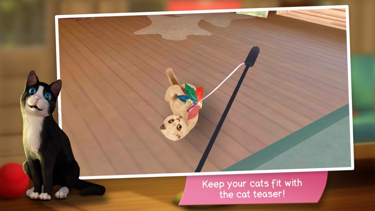 CatHotel - Play with Cute Cats screenshot-3