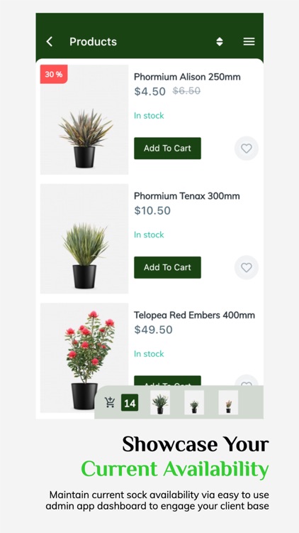 Shop Plants