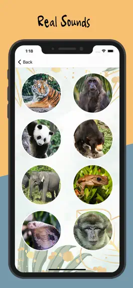 Game screenshot Animal Sounds - Nature Calls apk