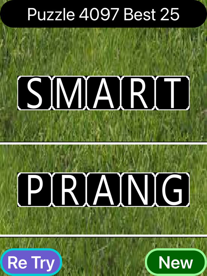 Accessible Word Ladders