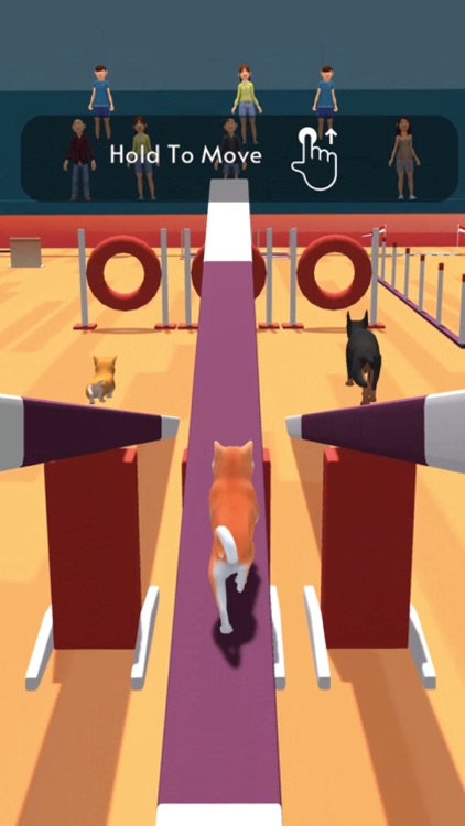 Dog Race 3D