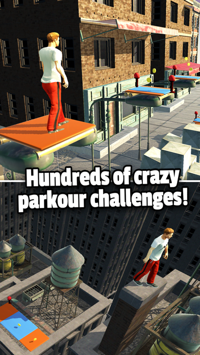 Flip Runner Flip Runner