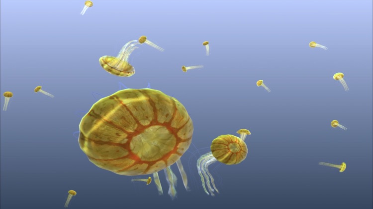 Jellyfish Chrysaora screenshot-6