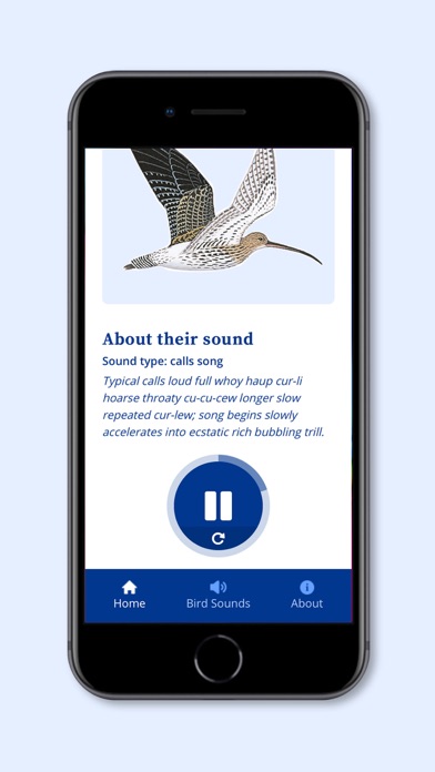 DK RSPB Bird Sounds screenshot 2