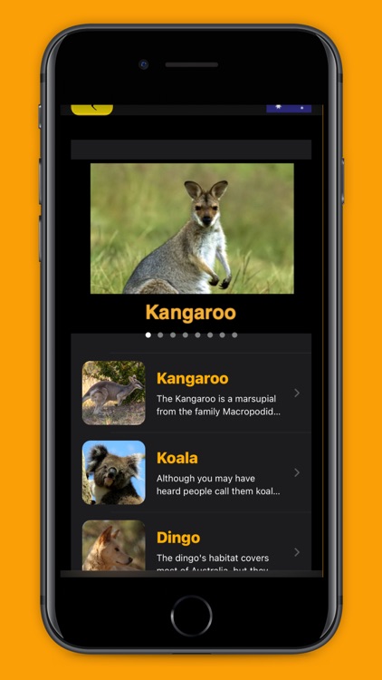 Australian Animals