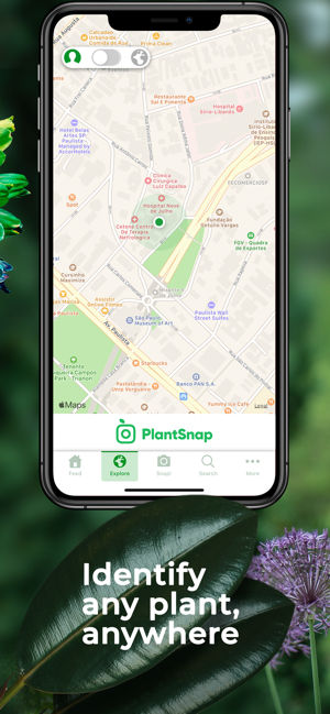 PlantSnap(圖5)-速報App