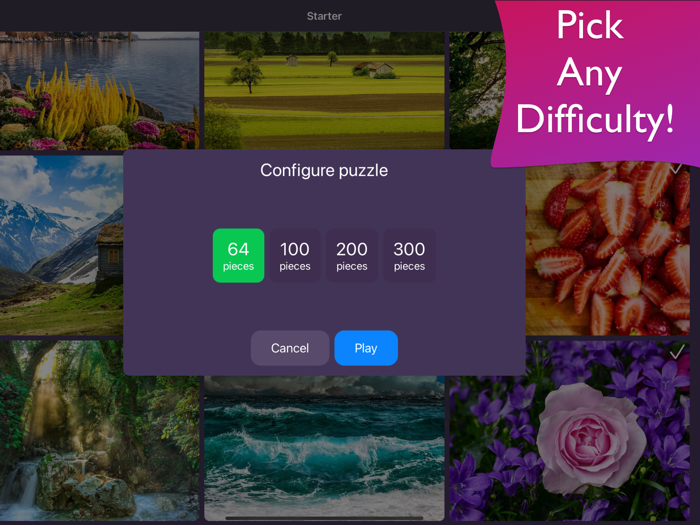 Jigsaw Puzzle Frenzy