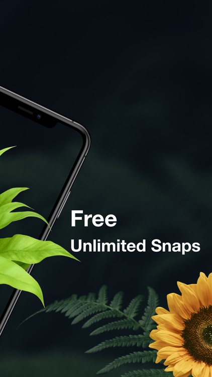 LeafSnap-Plant Identification
