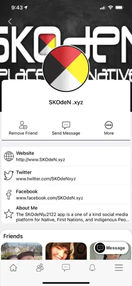 Game screenshot SKOdeN apk