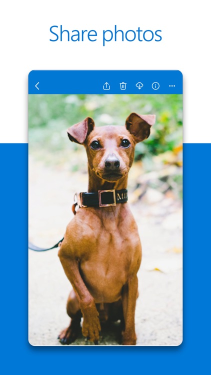 Microsoft OneDrive