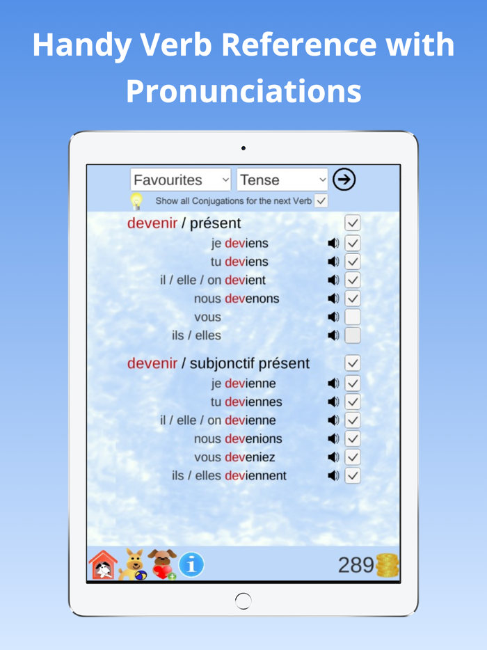 Verb Conjugations French
