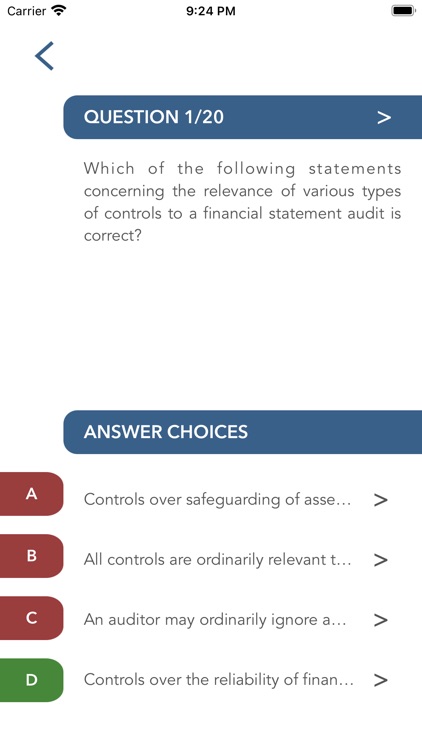 Auditing Theory screenshot-8