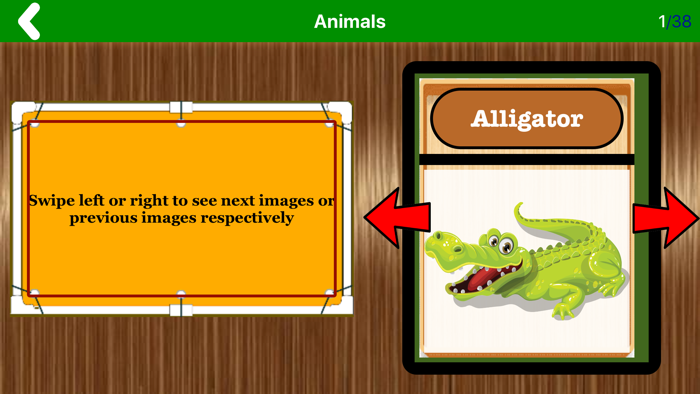 Animals - The Planet Partner