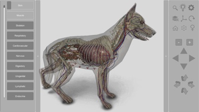 How to cancel & delete 3D Canine Anatomy from iphone & ipad 3