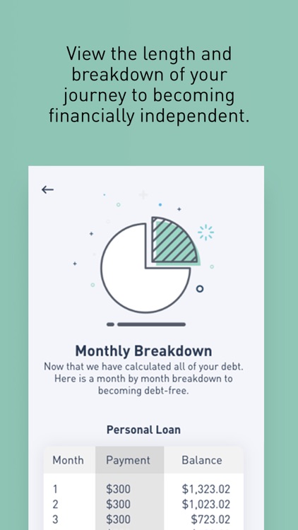 Debt Snowball Calculator screenshot-5