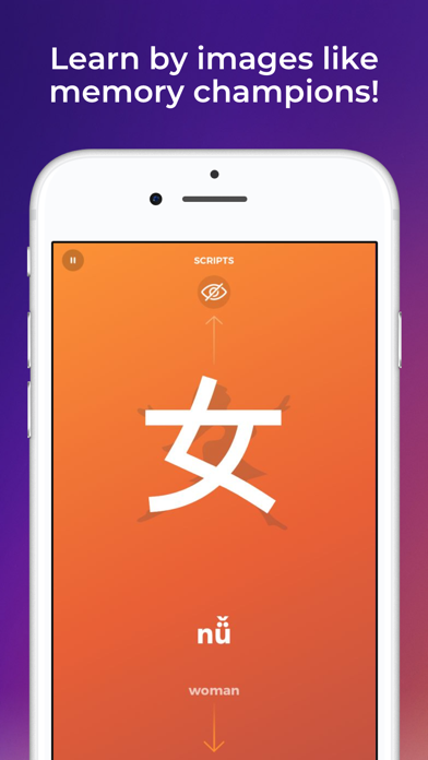 Scripts: Learn Chinese writing Screenshot