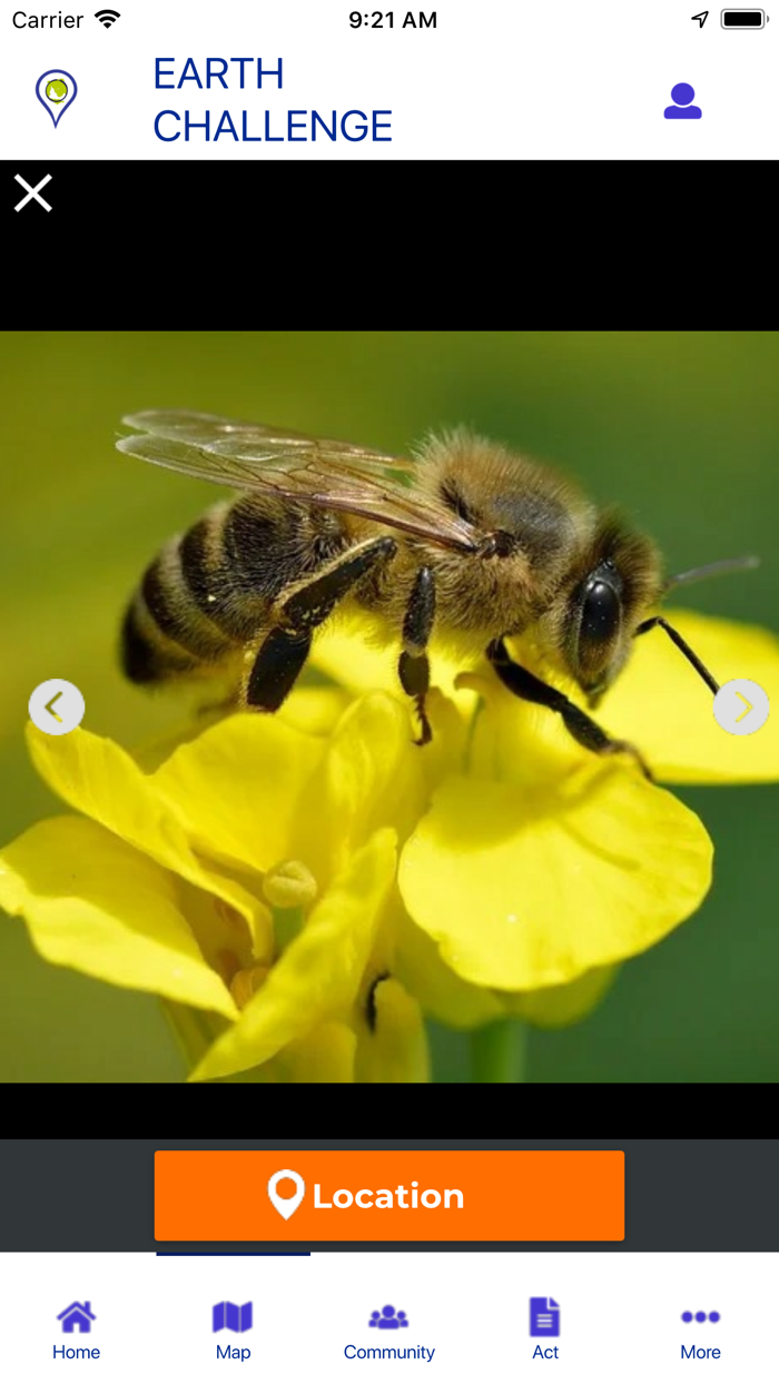 Earth Challenge 2020