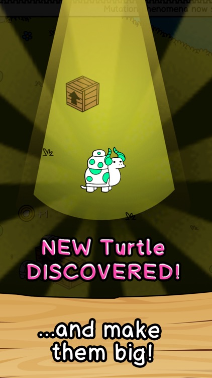 Turtle Evolution