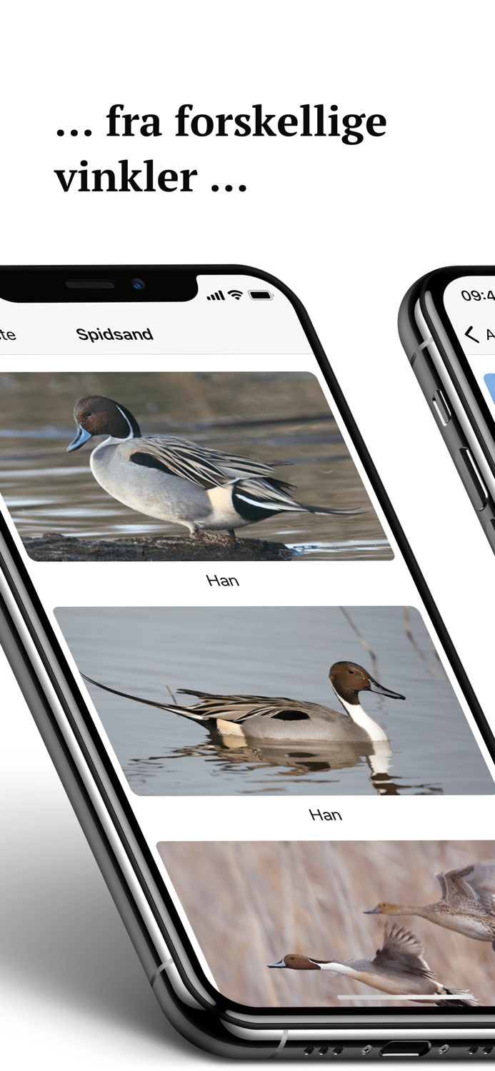 Jægerappen - jagttegn artsquiz