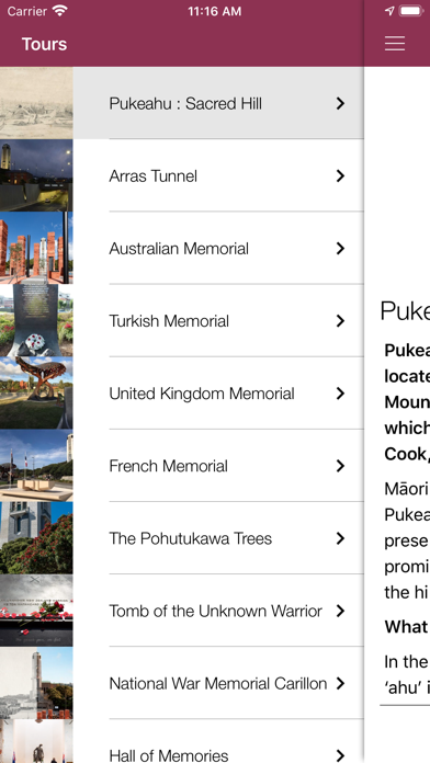 Pukeahu National War Memorial Park screenshot 3