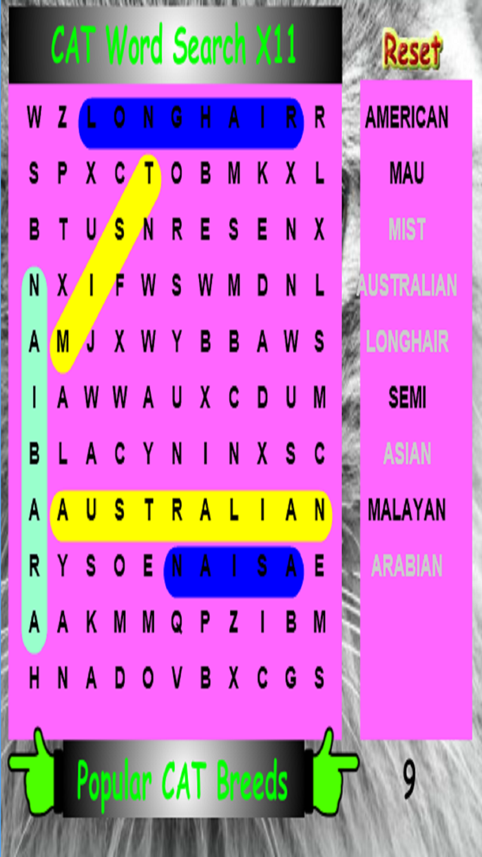 SLX Cat Word Search