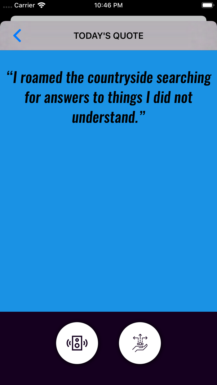 Leonardo da Vinci Wisdom