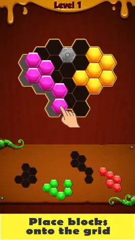 Game screenshot Hex Block Puzzles mod apk