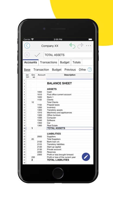 Banana Accounting Mobile screenshot 3