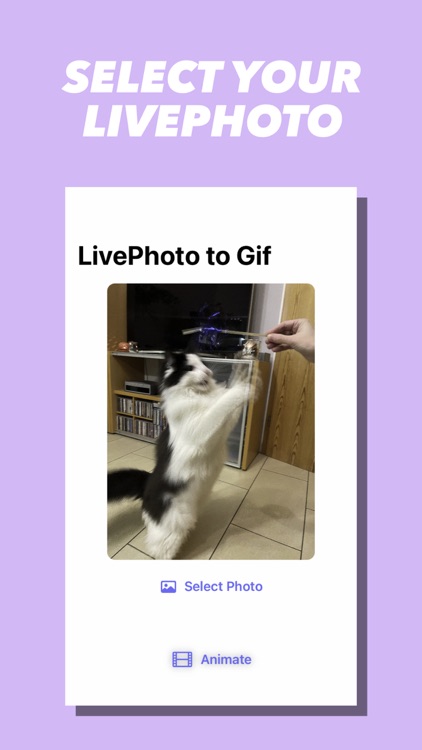 LivePhoto Animation Share