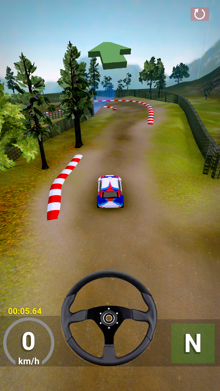 RallyMaster 3D