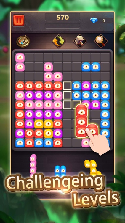 BlockGo - Easy Blocks Games screenshot-4