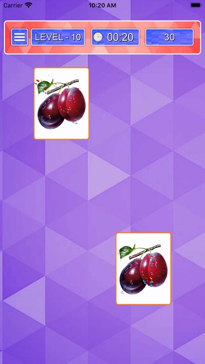 Picture Match Brain Game