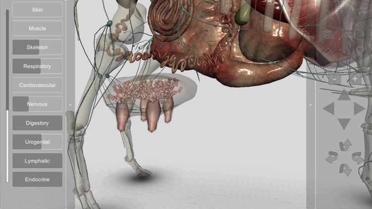 3D Bovine Anatomy screenshot-9