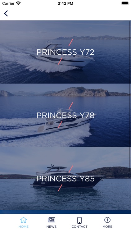 Princess Yachts France