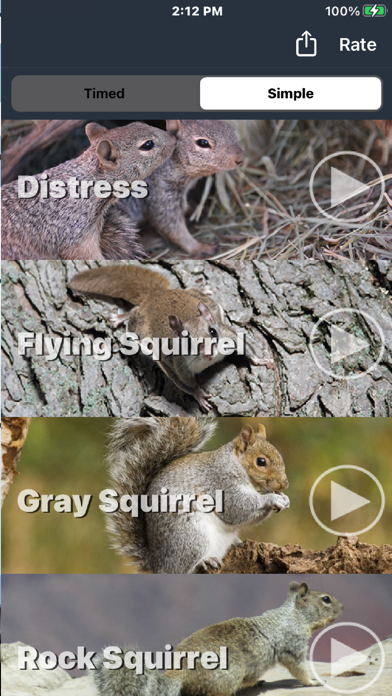 Squirrel Hunting Callのおすすめ画像3