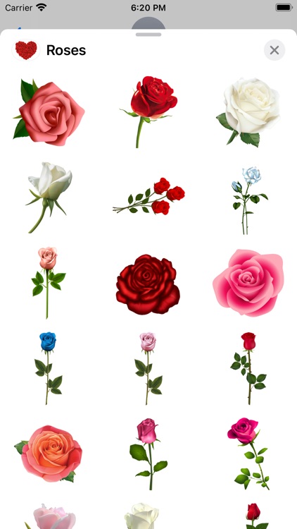 Roses to Love Stickers screenshot-3