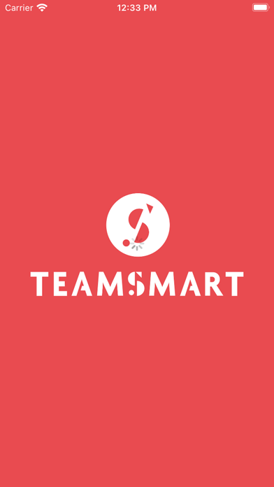 TEAMSMART 1