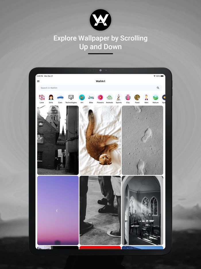 WallArt – HD Wallpapers