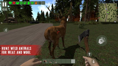 The Survivor: Rusty Forest screenshot 3