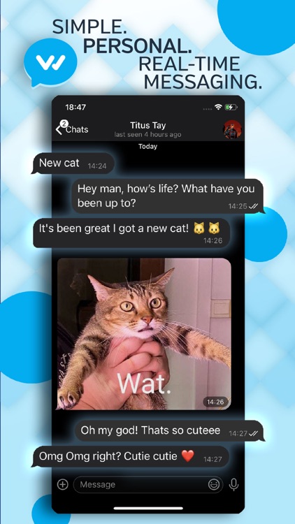 Wink Talk