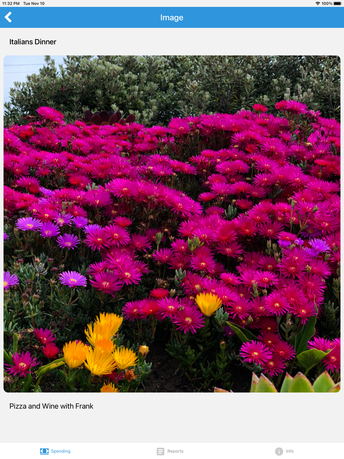 Personal Spending Tracker