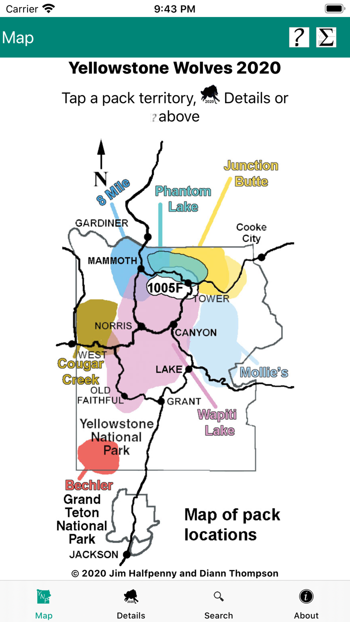 Yellowstone Wolves 2020