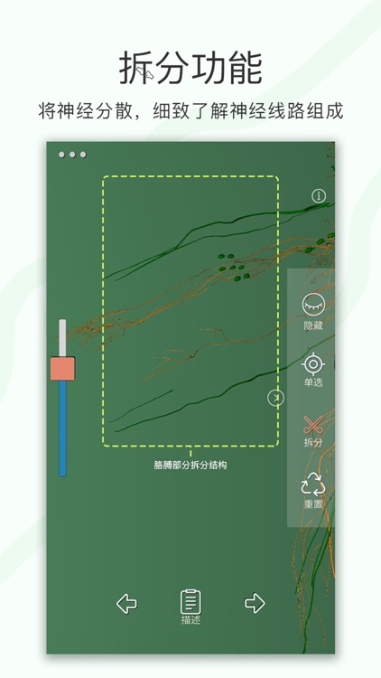 神经系统-3D screenshot-4
