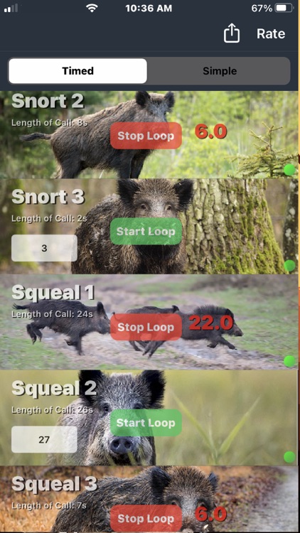 Wild Hog Calls screenshot-4