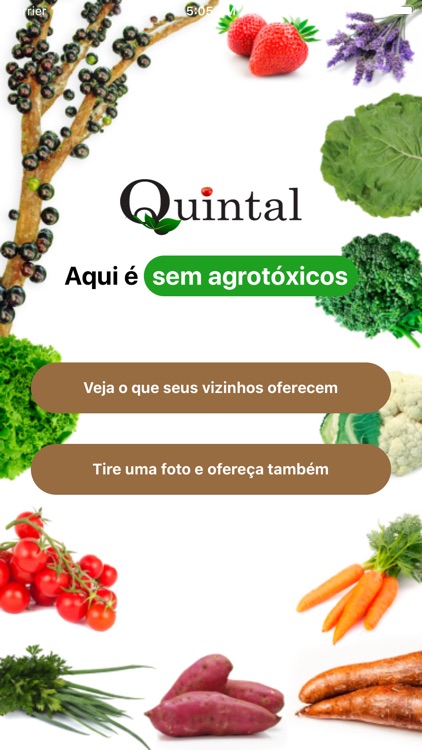 Quintal: Aqui é sem agrotóxico