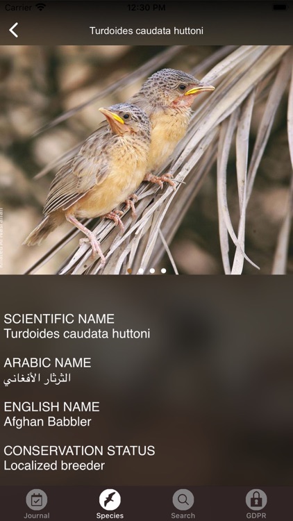 Birds Of Kuwait screenshot-3